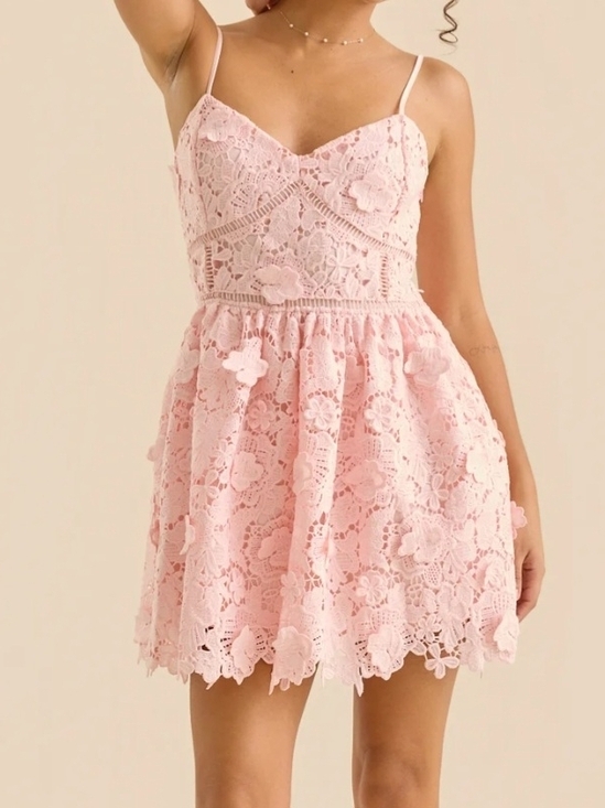 Altar'd State Dresses & Skirts - Altar'd State Blush Pink Lace Appliqué Mini Dress